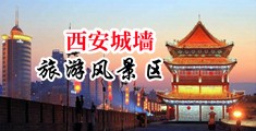 免费的男女操逼中国陕西-西安城墙旅游风景区